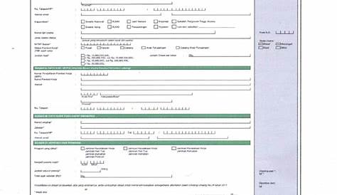 Formulir Pendaftaran Pemberi Kerja | PDF