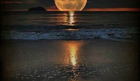 Luna llena en la playa de noche 🌝⛱ | Fotografía del océano, Playa de