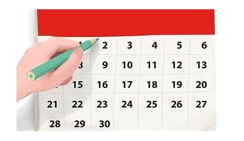 Cómo crear un calendario anual en Publisher. - SOY DOCENTE MAESTRO Y