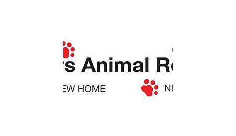 Four Paws Animal Rescue (South Wales) - JustGiving