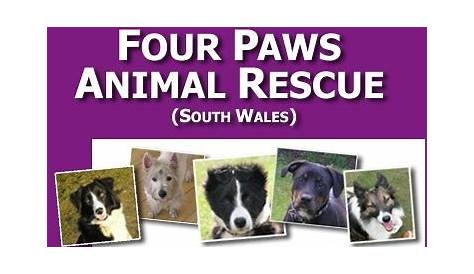 Love Four Paws Rescue, Inc. Dog Rescues