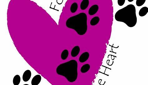 Four Paws Cat Rescue Fundraising | Easyfundraising