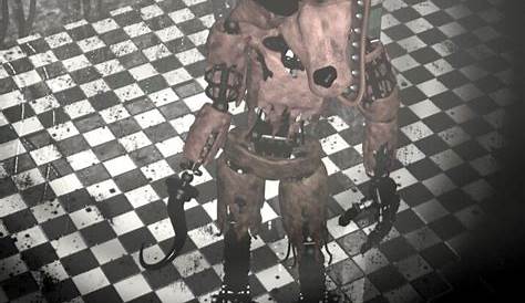 FNAF 2 Characters: Withered Foxy by Cricketina on DeviantArt