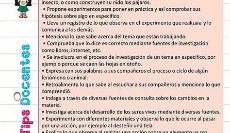 FRASES PARA RELLENAR FICHAS DESCRIPTIVAS – Imagenes Educativas