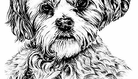 Dog Coloring Pages for Adults - Best Coloring Pages For Kids