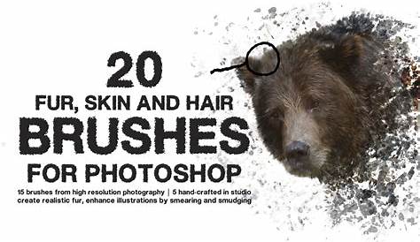 15 Sets of Free Fur Photoshop Brushes - Designbeep | Photoshop brushes