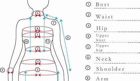 Image result for body measurement chart women Sewing measurements