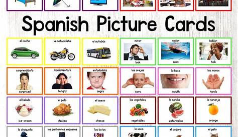 1300+ FREE Spanish Flashcards PDF Picture Vocabulary
