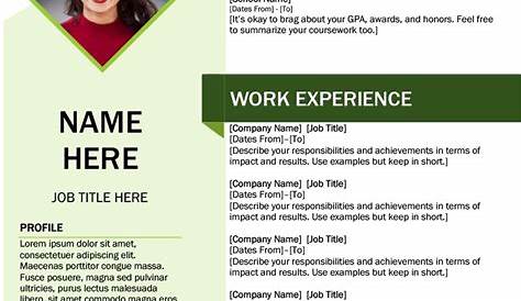 Free Resume Template Download Microsoft Word Panahistory
