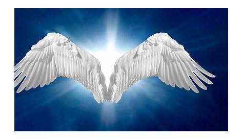 Angel Wings And Halo Clip Art Clipart Backgrounds - Clip Art Angel