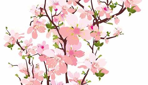 Download High Quality free clipart images transparent background