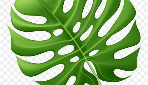 Tropical Leaf Png Clipart, Transparent Png - kindpng