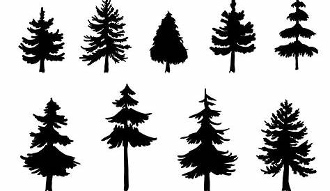 Simple Pine Tree Silhouette | Pine tree silhouette, Pine tree painting