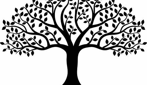 Tree Silhouette Branch Desktop Wallpaper - tree vector png download