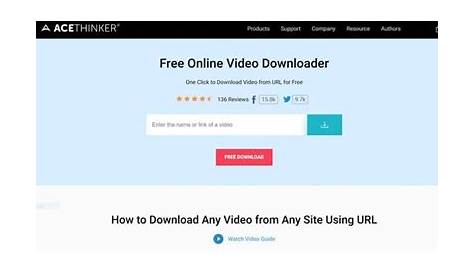 Free Video Downloader Online Using Url How To Download Any From The — The Ultimate
