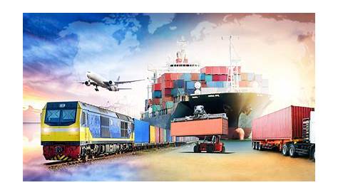 Freight shipping and its options: What option best fits your needs