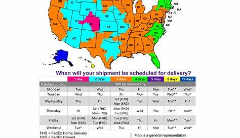Freight shipping and its options: What option best fits your needs