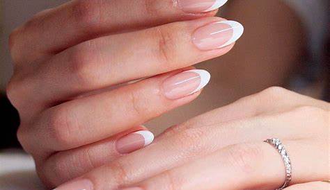French Tips Oval Forma Manicure Acrylic Nails Almond Acrylic Nails Tip