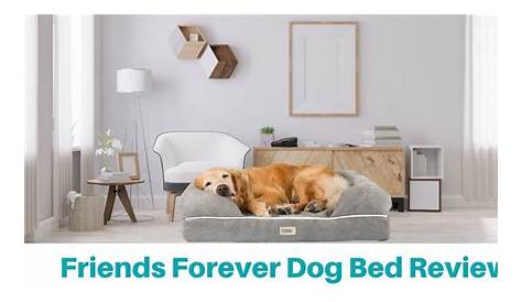 Friends Forever Dog Bed Review Worth It In 2023? MustRead!