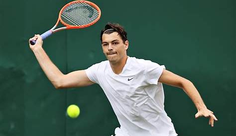 Tennis-Fritz flies into Wimbledon quarters to earn family stripes | Nestia