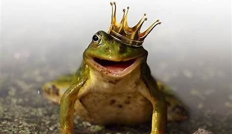 Frog Wearing Crown Photograph by Walter B. McKenzie