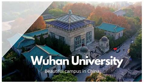 Fazhou WANG | Professor | Doctor of Philosophy | Wuhan University of