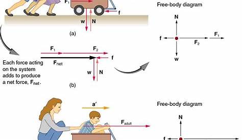 Como resolver problemas de dinámica, fuerza, segunda ley de newton