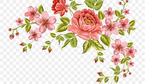 Gouache Flowers, Watercolor Flowers, Flower Frame, Flower Art, Flower