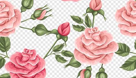 Flores - Rosa cor de Rosa 2 PNG Imagens e Moldes.com.br