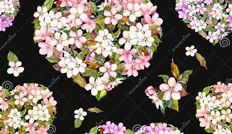 FramesPNG alta resolução flores | Imagens Png fundo transparente grátis