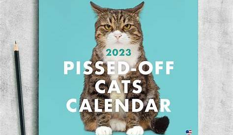 Free Printable Calendar - Comfy Cats 2023 | Free printable calendar