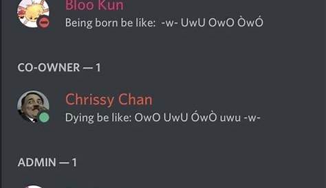 Funny Discord Statuses That Perfectly Represent The Chaos Of The