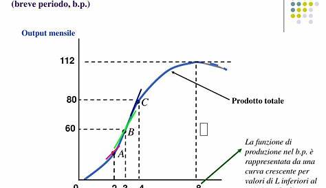 Microeconomia: la funzione di produzione – gli isoquanti | matematica