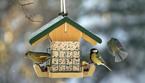 Das ideale Futterhaus für Vögel im Winter - myHOMEBOOK