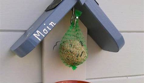 Kleine Futterstelle für Vögel aus Kiefernzapfen DIY - Bastel Buddies Do