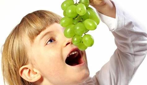 Tips Membuat Anak Suka Makan Sayur dan Buah - Alodokter
