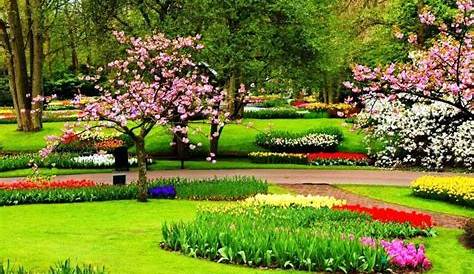 Gambar Taman Bunga Yang Indah | Taman indah, Taman bunga, Gambar bunga