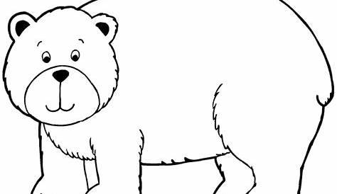 Sketsa Gambar Beruang Kutub Dan - IMAGESEE