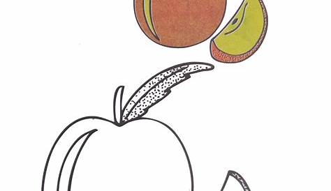 Gambar Mewarnai Buah Apel dan Mangga Untuk Anak PAUD dan TK