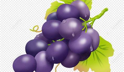 Gambar Piring Partikel Buah Anggur Seni Ungu, Anggur, Ungu, Buah PNG