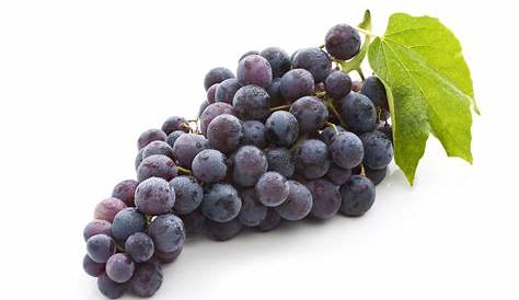 Khasiat buah dan sayur warna ungu - introducing my self