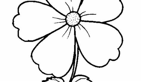 8 Bunga Anggrek Gambar Kolase Bunga Dari Biji Bijian | Gambar bunga