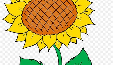 Gambar Clipart Bunga Matahari Kartun Vektor Kuning, Bunga Vektor, Bunga