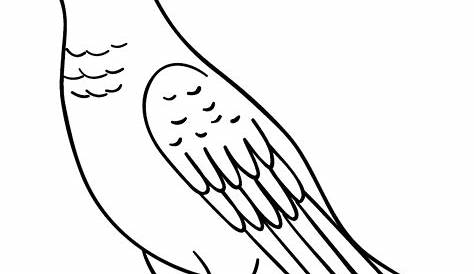 Mewarnai Gambar Burung Merpati | Mewarnai Gambar