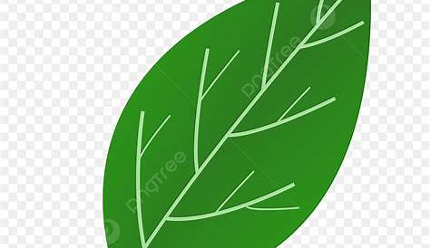 Ide 39+ Gambar Daun Png