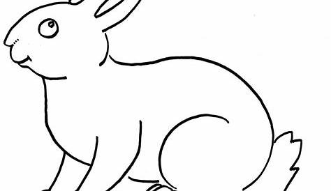 Sketsa Gambar Kelinci Hitam Putih - Gambar Binatang lucu