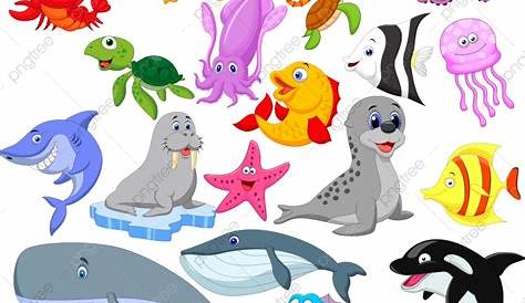 Ikan Gambar Hidupan Laut Kartun Berwarna : World Ocean Day Undersea