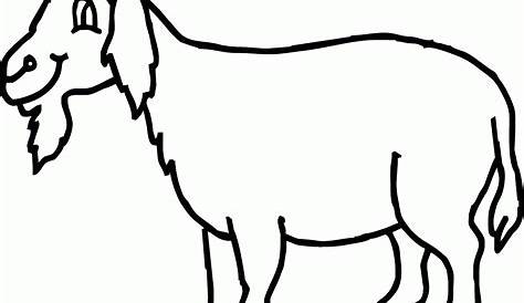 gambar kartun kambing hitam putih - Caroline Edmunds