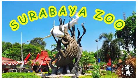 Kebun Binatang Surabaya - Wisata Obyek Indonesia