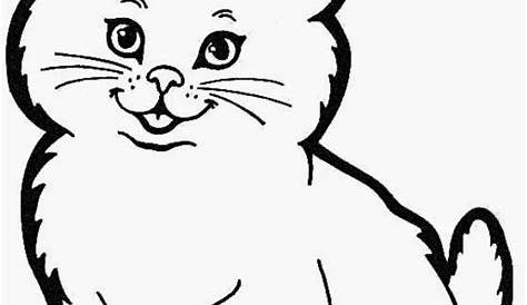 Sketsa Gambar Kucing Untuk Mewarnai Kumpulan Gambar Mewarnai Kucing